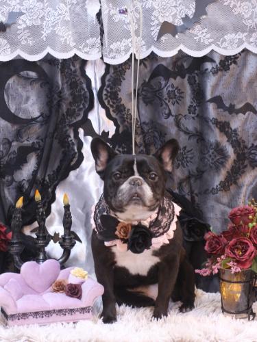 20231006スミレちゃん